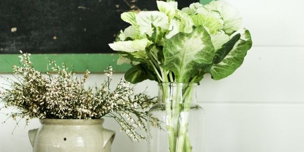 White flowers in a ceramic vase and greens in a clear vase, chalkboard background with shiplap