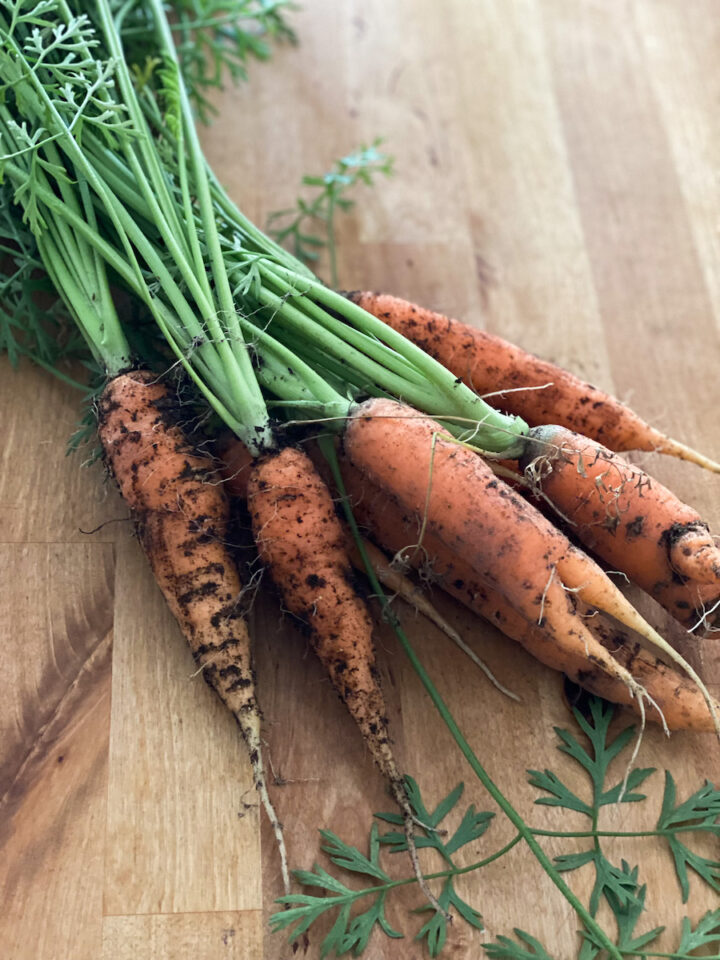 Fresh carrots with dirt, green carrot stems wooden butcher block background